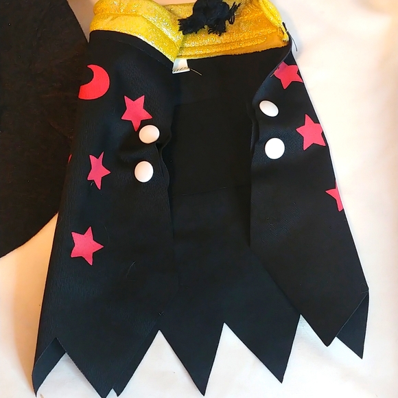 Pet Costume. Size Small. Like New. - Picture 2 of 9